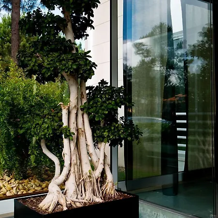 Hotel Lavanda Miravillas